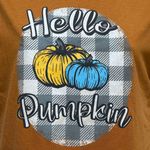 NEW Women's Size Small "Hello Pumpkin" Adiva Thanksgiving Shirt Copper Plaid Brown Photo 2