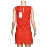 Hill House  Charlie Shift Mini Dress, Poppy Red Scallop Lace, Medium Photo 8