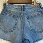 Cello Light Blue Distressed Jean Shorts Photo 5