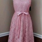 Barbiecore Pink Blush Lace Satin Sash Simply Devine Cocktail Dress by Marina Size 6 Photo 1