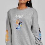 Bluey Women’s Grey Crewneck Sweatshirt, Bluey Character Top, Size Large Gray Photo 0