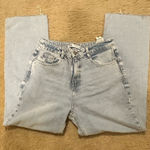 ZARA Sky Blue Ankle Jeans Photo 0