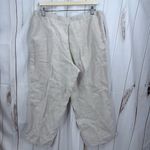 J. Jill Women’s Medium 100% Linen Pull on Pants LagenLook Minimalist Artsy Tan Photo 2