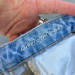 American Eagle Curvy Mom Short Embroidered Flower Distressed AEO Size 2 Photo 4