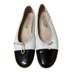 PAUL MAYER (ATTITUDES) Photo 1