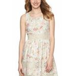 LC Lauren Conrad Floral Moon Trim Lace Mini Dress Photo 0