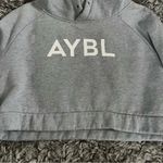 AYBL  cropped hoodie size medium Photo 1