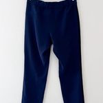 Lululemon  On The Fly Woven Track Black Stripe Pant in True Navy, Size 10 Photo 7
