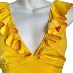 SheIn Exaggerated Ruffle Plunging Neckline Crop Top Photo 15