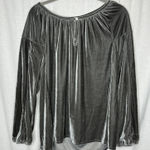 Dylan  Silvery‎ Gray Velvet Puff Sleeve Blouse Size Large Flowy Relaxed Photo 0