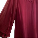 Entro Burgundy Sheer Long Sleeve Ruffle Flutter Dress Size Medium Photo 2