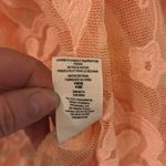 Jen's Pirate Booty Jen’s Pirate Booty for Free People Peach Lace El Solo Mini Dress Photo 5