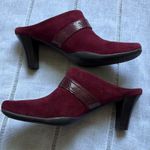 Aerosoles Burgundy Mules with Belt Strap Photo 0