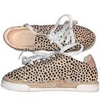 Ccocci  Lucia Espadrille Lace Up Shoes Animal Print Tan Black Size 6 Sneaker Photo 0
