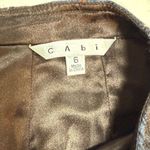 CAbi  Plaid Women's Skirt in Blue and Brown. Photo 2