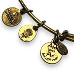 ALEX AND ANI  Energy Womens Bangles Charm Bracelets Set of 2 Fashion Jewelry Photo 15