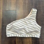 ALBION FIT  Blue Striped Swimsuit Crop Size XL Photo 0