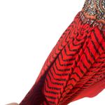 Lucky Brand  Women's‎ Size Small Red Paisley Bohemian Peasant Mini Dress Photo 4