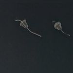 Blue And Orange Football Earrings. Leather & Felt Photo 2