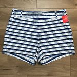 Spanx Sunshine 6" Painted Stripe High Rise Summer Swim Shorts Blue White Size 1X Photo 0