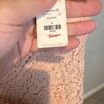 Francesca's NWT Delicate Pink Lace dress with gold trimming Size L Photo 4
