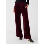 Faherty ππ Vintage Silk Velvet Genevieve Pant Wide Leg Maroon Banner Large NWT Photo 3