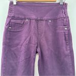 Spanx  Alexia Burgundy Red Purple High Rise Side Zip Skinny‎ Jeans Size S Photo 1