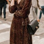 J.Crew Brown Leopard Print Velvet Wrap Dress Photo 0