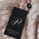 BHLDN  Adrianna Papell BROOKLYN Pale Pink Champagne Prom Formal Bridesmaid Photo 9