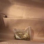 NWT Nude Patent Leather Clutch Purse Tan Photo 6