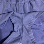 The North Face  Purple Fleece Shorts Photo 1
