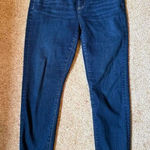 Loft  Modern Dark Blue The Curvy Skinny‎ Jeans Classic Denim Size 30/10 Photo 0