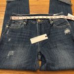 Habitual NWT Balsam Dark Rinse Vale Slant Fray Cuff Slim Boyfriend Cut Jeans 24” Photo 6
