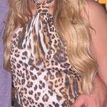 Tiger Mist  Top Photo 1