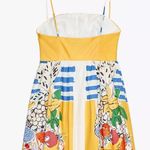 ZARA  Fruit Poplin Dress Photo 8