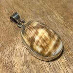 Sterling Silver Seashell 925  Pendant Photo 2