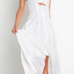 Petal and Pup Midi Dress Photo 1