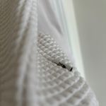 The North Face Women's Long-Sleeve Mock Neck Chabot Photo 7