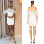 NWT Rachel Gilbert Zion Mini Pleated Dress Photo 13