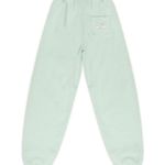 Boys Lie  Have nothing nice to say get blocked flower mint green sweatpants Photo 3