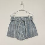 American Eagle  Striped Paperbag Shorts Photo 6