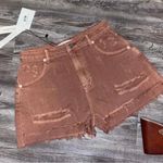 Mustard Seed New Rust Distressed Ripped Denim Jean Small Short Photo 0