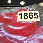 SAVAGE X FENTY Signature Script Slip‎ Timeless Red Size 3X NWT Photo 7