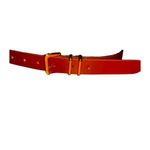 Abercrombie & Fitch 276.  Brown Square Buckle Belt | NWOT | Size L/XL | Leather Photo 1