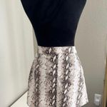Rue 21 Womens Front Zipper Snake Print Mini Skirt Size Large Photo 2