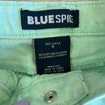 Blue Spice  Mint Jean Shorts Photo 2