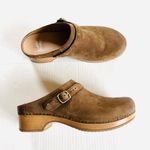 Dansko  Sz 9 Berry Nubuck Tan Leather Suede Buckle Hardware Strap Clogs Slip On Photo 0