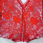 Lovers + Friends  Mon Amor Red Lace Overlay Mini Dress - Size Medium Photo 9