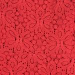 Moulinette Soeurs Anthropologie Shirt Womens 2 Red Lace Peplum Preppy Feminine Photo 4