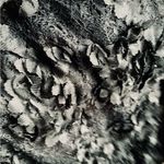 Mimi Chica Dressy blouse top 🌷🌷🌷 Photo 5